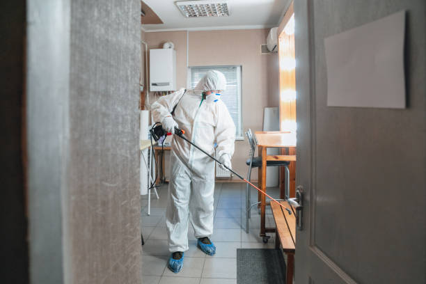 Best Emergency Mold Remediation  in Townsend, MT