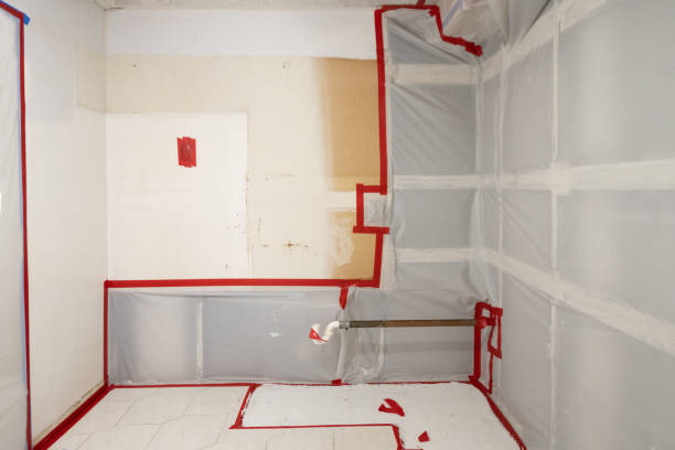 Best Post-Remediation Verification Testing  in Townsend, MT