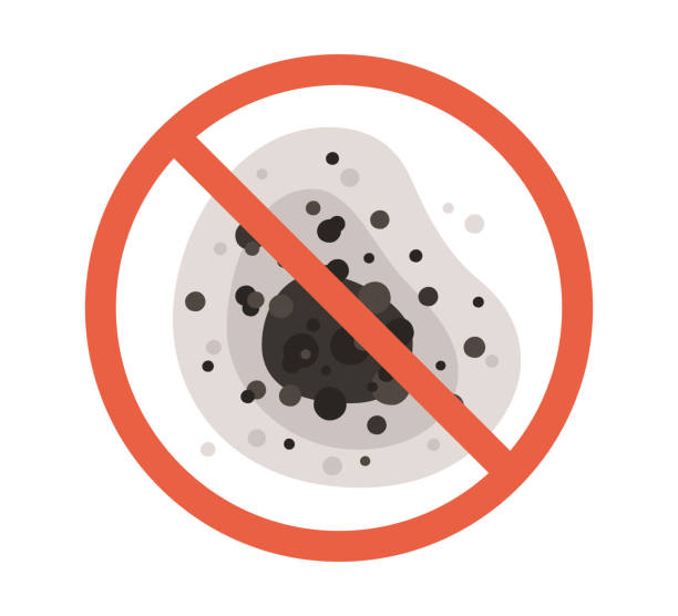 Best Mold Removal for HVAC Installations  in Townsend, MT