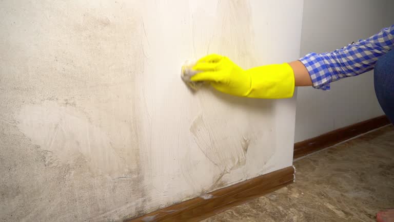 Best Forensic Mold Investigation  in Townsend, MT