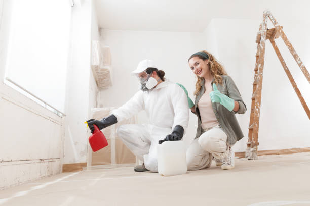 Best Emergency Mold Remediation  in Townsend, MT