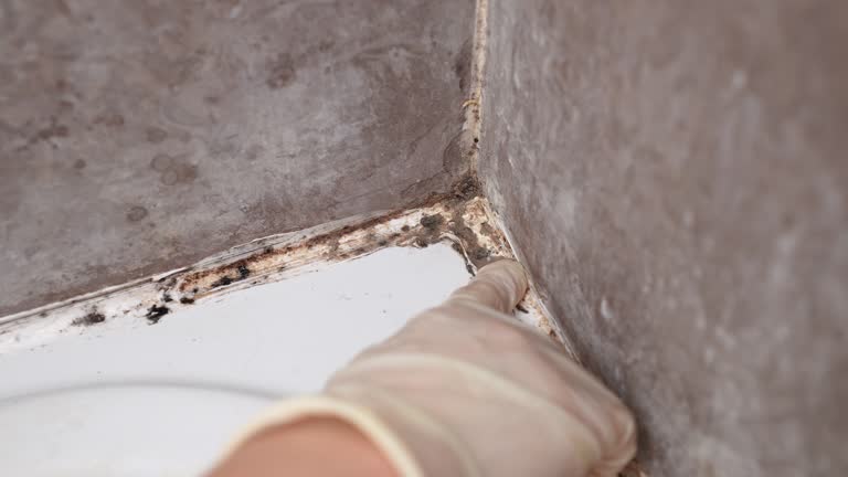 Best Indoor Air Quality Assessment  in Townsend, MT
